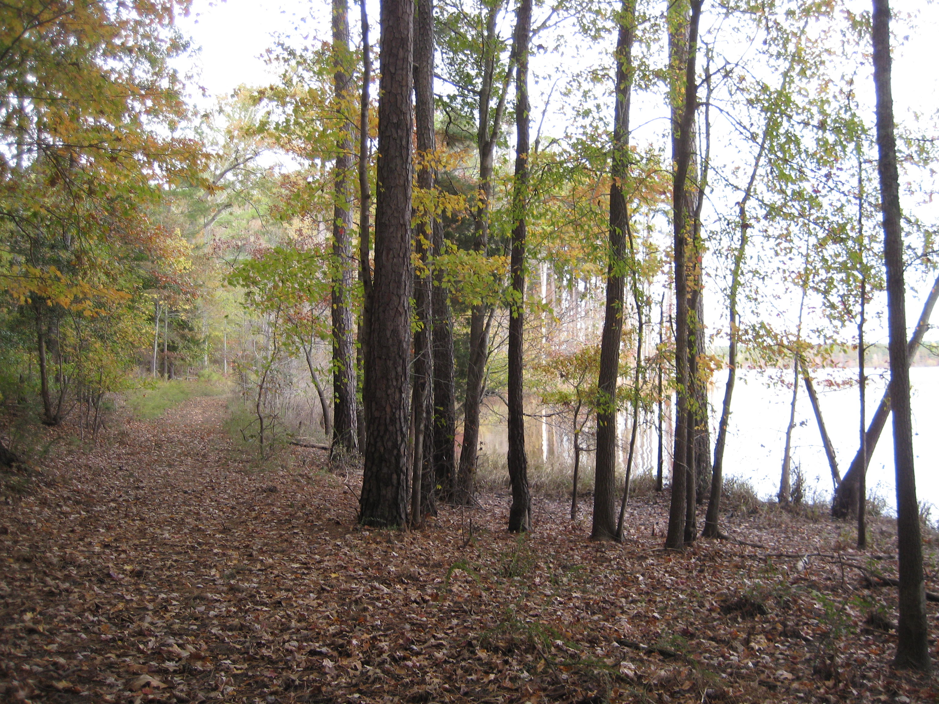 Falls Lake State Recreation Area Beaverdam PeoplePorting